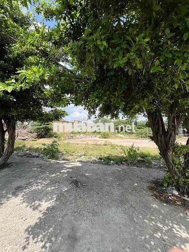 Bán đất HXT 149m2, Thổ cư gần đường Võ Văn Vân, Tân Tạo, Bình Tân
