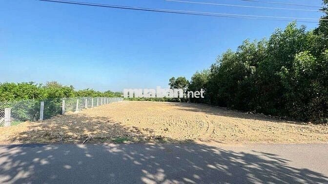 MẶT TIỀN PHẠM HÙNG - ĐẤT ĐỎ 
👉Cách biển 15p 
🔺DT 1441m2 ngang 20m