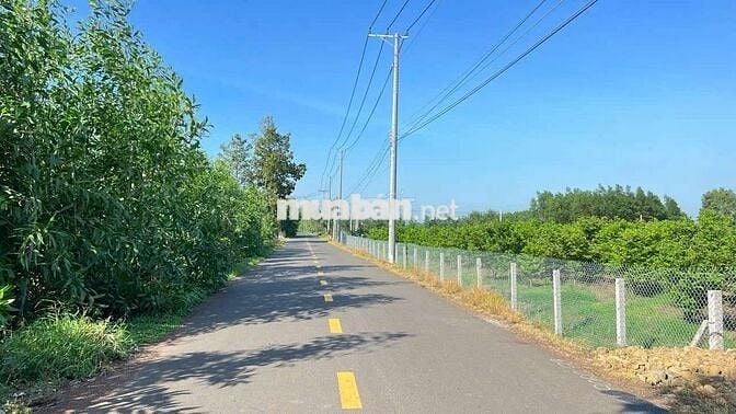 MẶT TIỀN PHẠM HÙNG - ĐẤT ĐỎ 
👉Cách biển 15p 
🔺DT 1441m2 ngang 20m