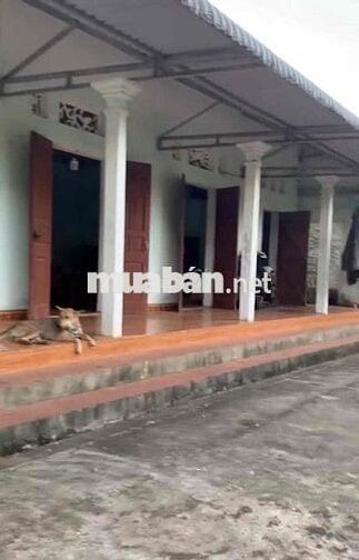 CHÍNH CHỦ CẦN BÁN 2218m Đất YÊN BÌNH Giá CHỈ VÀI TRIỆU