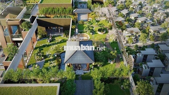 LEGACY HINOIRI - Chung cư cao cấp đầu tiên tại lõi khu CNC Hòa Lạc
