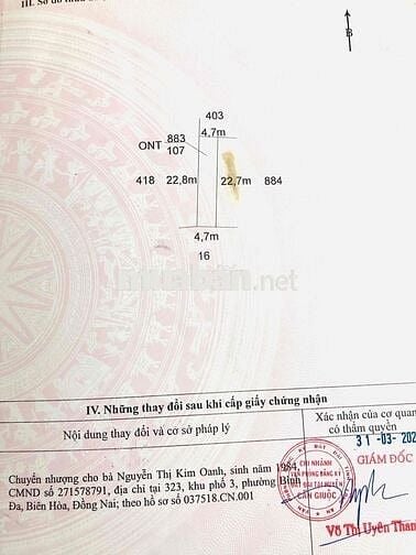 Bán gấp đất ẤP Lộc tiền-đất LUA quy hoạch ONT , đường xe máy