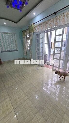 Cho thuê nhà nguyên căn, giá rẻ, hẻm 114 Lý Thường Kiệt