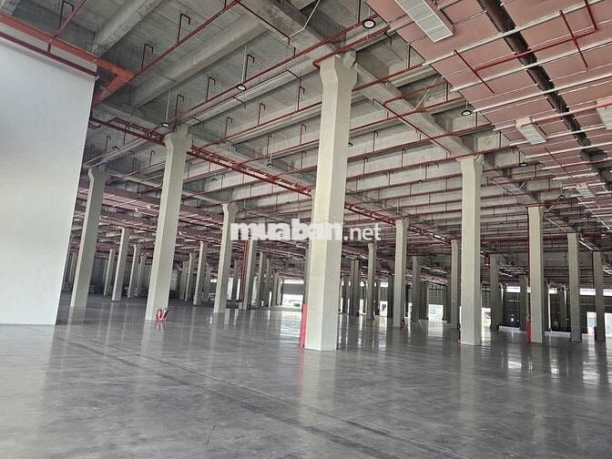 Cho thuê kho xưởng 10.000m2 – 17.000m² KCN Long Hậu, giá : 4.37 USD/m²