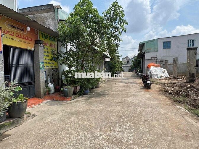 ✍️Lô đất 7 x 17.5m Cách đường Phan Văn Hớn 200m, đường xe tải thông