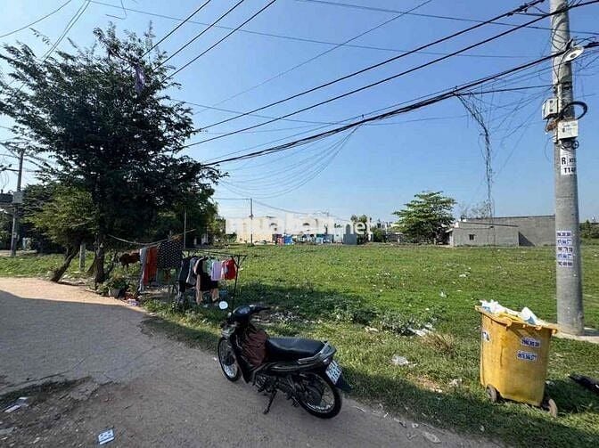 ✍️Diện tích:12 x 43m 516m², đất nông nghiệp1 sẹc Kênh T1 (Kênh Tiêu)