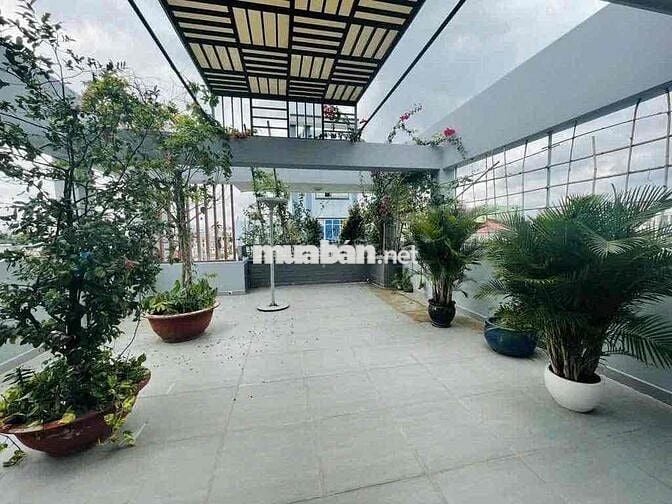 🏦 Nhà biệt thự NC nup hẻm 496 Dương Quảng hàm P5