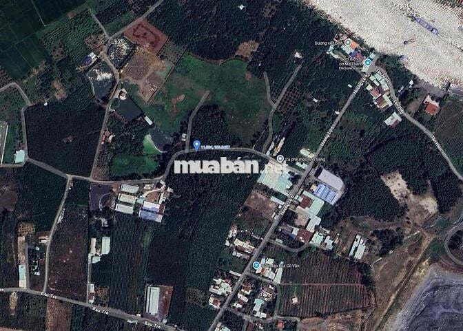 Cần tiền bán đất Đường Hương Lộ 6, đường giao thông xã Thạnh Phú