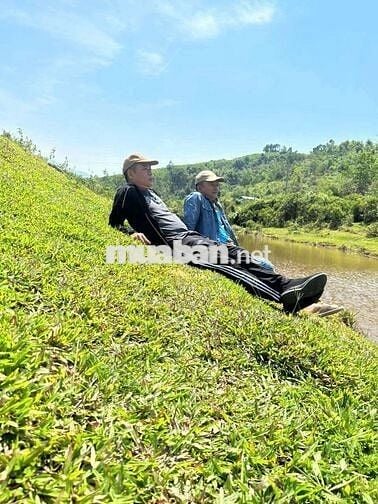 Chủ cần bán 1 heta đất CLN  views sông bám suối bám đường ql14