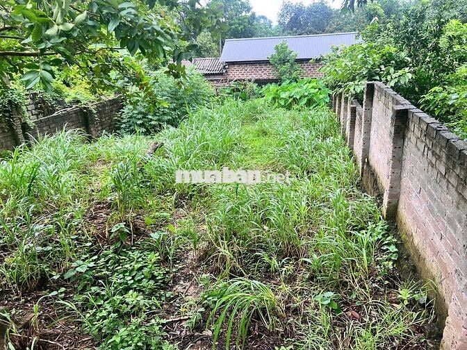 em chủ đất cần bán mảnh đất tại tây vị Thanh Mỹ