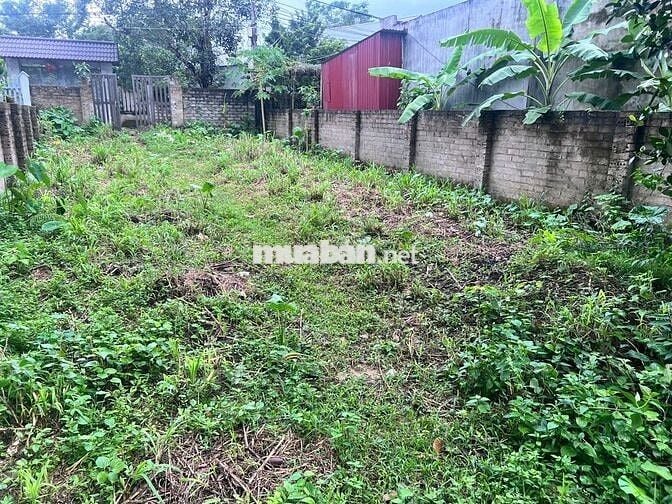 em chủ đất cần bán mảnh đất tại tây vị Thanh Mỹ