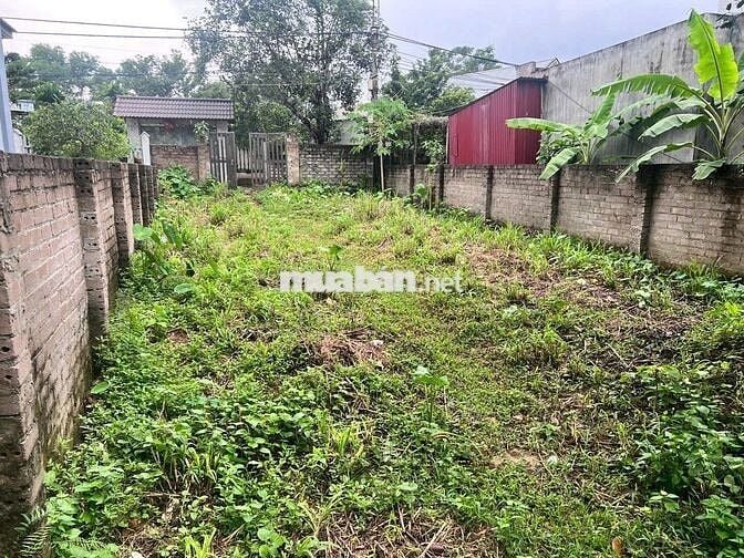 em chủ đất cần bán mảnh đất tại tây vị Thanh Mỹ