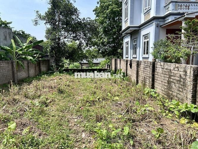 em chủ đất cần bán mảnh đất tại tây vị Thanh Mỹ