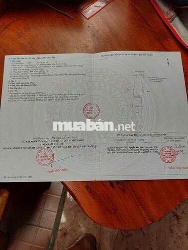 Đất cao su đang thu hoạch diện tích 1124m2 đường 6m có điện 3 pha.