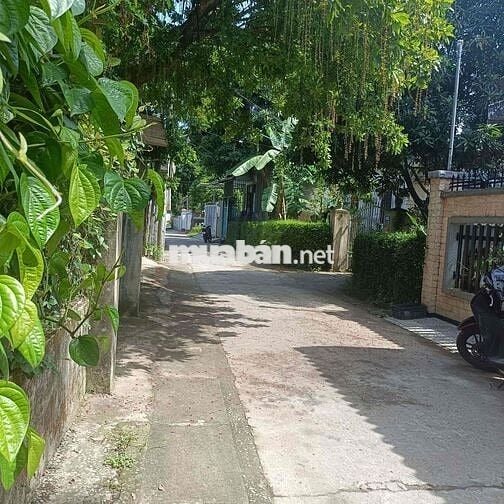 ĐẤT KIỆT OTO xóm 4 Ngọc anh,  101m2 1,9x tỷ Gần PHẠM VĂN ĐỒNG