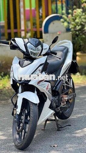 Winner V1 2017