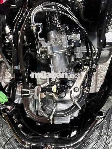 #click thái 2019 batp chính chủ thu hồi có sắn
