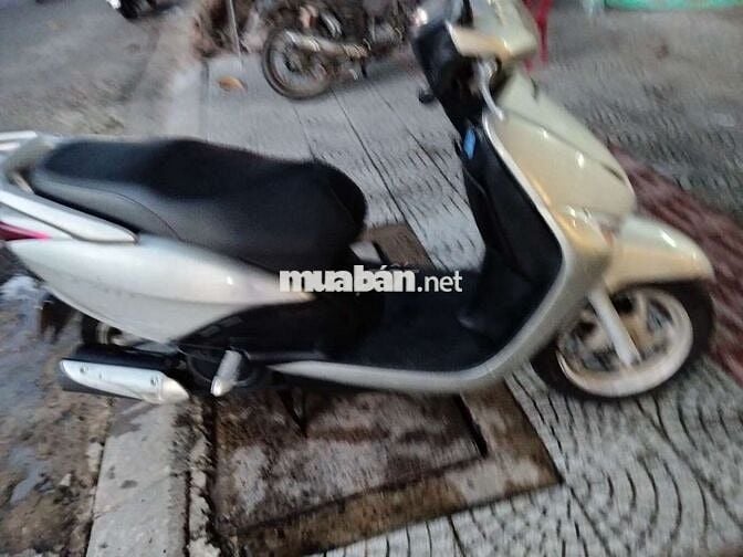 Xe cọp