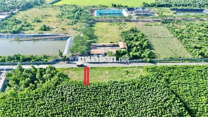🌈🌈ĐẤT CHÍNH CHỦ MẶT TIỀN TRỤC CHÍNH XÃ ĐẤT ĐỎ - TP HCM.

⚡️Dt: 152m2