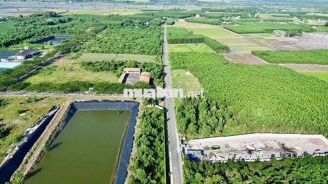 🌈🌈ĐẤT CHÍNH CHỦ MẶT TIỀN TRỤC CHÍNH XÃ ĐẤT ĐỎ - TP HCM.

⚡️Dt: 152m2