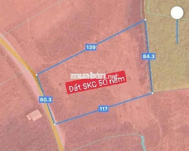 Cần bán 3.2ha đất SKC tại  Bắc Tân Uyên Bình Dương