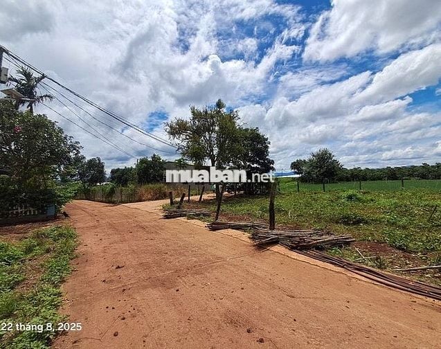 Bán đất chính chủ 121m² 77mtc 730 tr sổ riêng gần sân bay Liên Khương