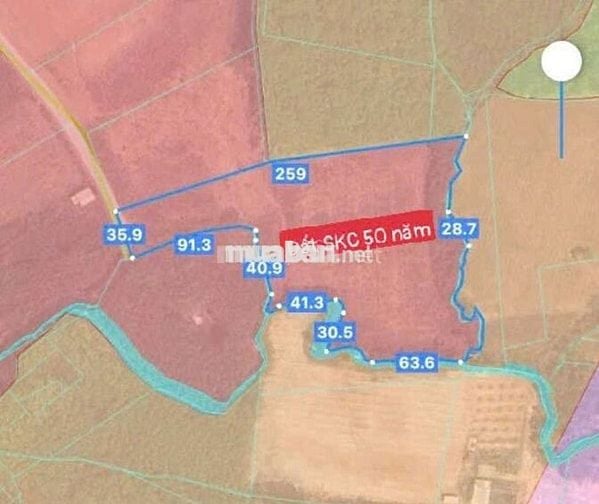 Cần bán 3.2ha đất SKC tại  Bắc Tân Uyên Bình Dương