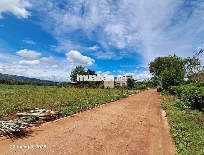 Bán đất chính chủ 121m² 77mtc 730 tr sổ riêng gần sân bay Liên Khương