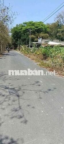 Bán cấp nền đất tặng căn nhà . Diện  tích 357m2 (7*51) thổ cư 100