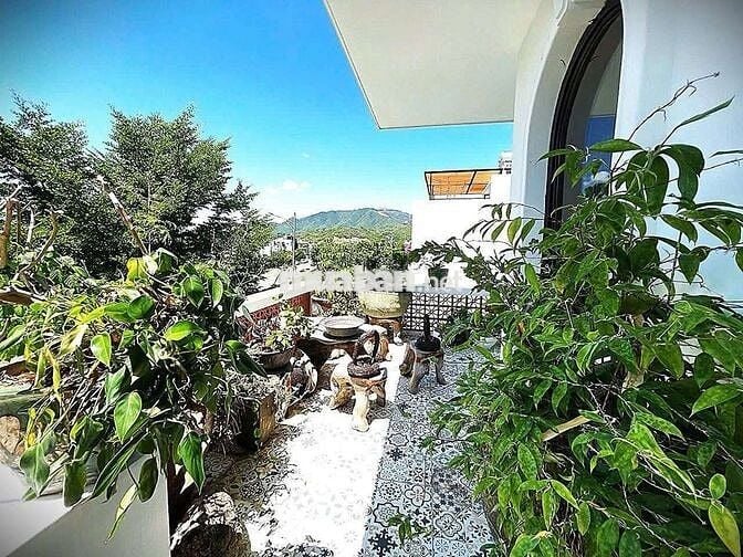 DT Cho thuê Biệt Thự Mỹ Gia  Vĩnh Thái