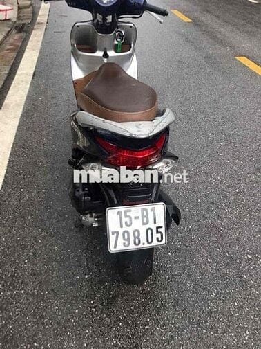 vision zin chất gấu xe như hình