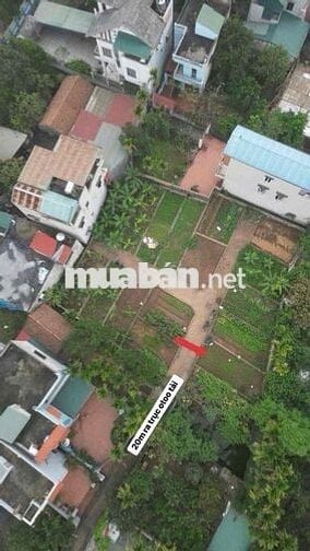 Cần bán ô đất thổ cư Kim Châu Kim Thư Thanh Oai Cũ