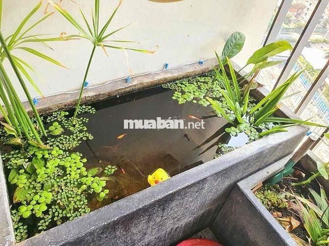 BÁN CĂN 2PN2WC ĐẸP, VIEW ĐẸP, FULL NỘI THẤT CAO CẤP, NGAY TRUNG TÂM