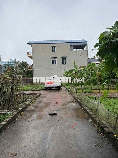 Cần bán ô đất thổ cư Kim Châu Kim Thư Thanh Oai Cũ