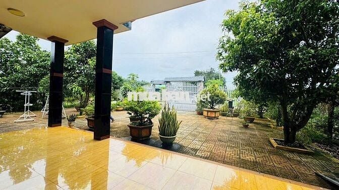 Nhà đất vườn 2.715m2,3PN đối diện KCN Đất Đỏ,gần biển,chợ, trường học