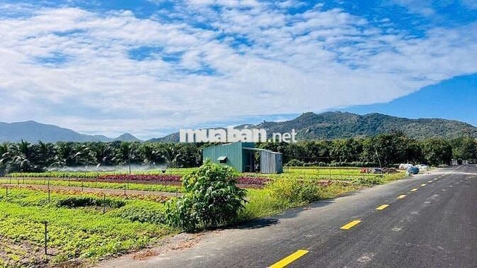 LÔ GÓC THỊ TRẤN PHƯỚC HẢI - VIEW NÚI SIÊU ĐẸP - GẦN BIỂN PHƯỚC HẢI
🌈