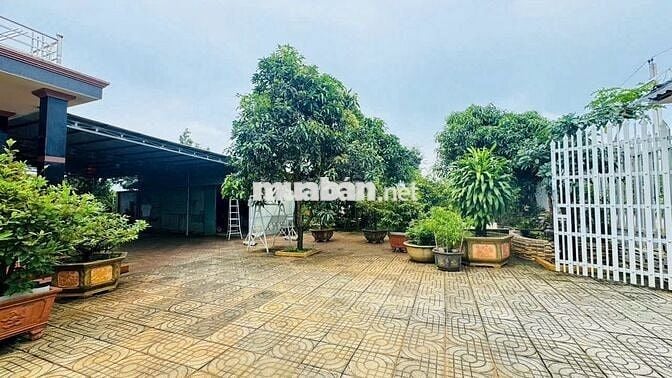 Nhà đất vườn 2.715m2,3PN đối diện KCN Đất Đỏ,gần biển,chợ, trường học