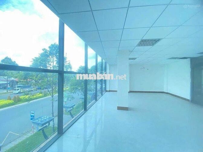Cho Thuê Toà Nhà 7 Tầng Võ Văn Kiệt Gần Trường Cao Đẳng Y Tế Cần Thơ