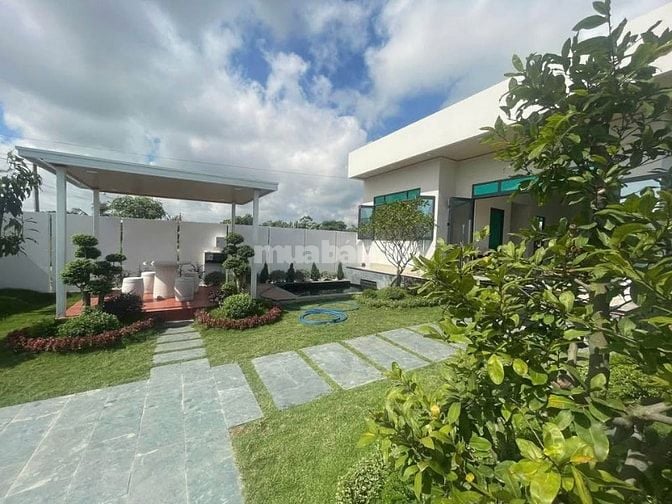 SIÊU PHẨM SÂN VƯỜN 300m2 ĐOÀN NGUYỄN TUẤN GIÁ 1 TỶ 350TR BÌNH CHÁNH