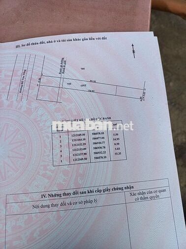 Bán Đất Củ Chi : 5,5x54 - Tân Phú Trung - SHR. Giá 1 tỷ 500 triệu