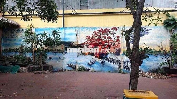 Mặt bằng siêu rộng MT Bình Quoi, Bình Thạnh (Ngang 9m, nở hậu)