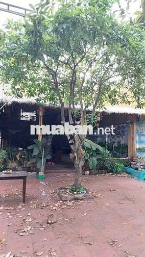 Cho Thuê Nhà Siêu Rộng 400m2 Đường Bình Quới, Bình Thạnh ( KD TỰ DO )