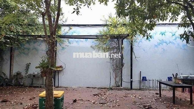 MẶT TIỀN SÂN VƯỜN 400M BÌNH QUỚI