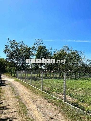 🌟Bán Đất Đẹp Vuông Vức Mặt Suối Lưng Tựa Núi🌟