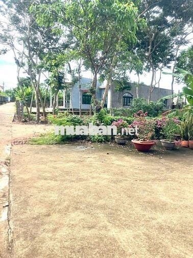 5X20 THỔ CƯ, XÃ THANH BÌNH TRẢNG BOM GẦN HƯƠNG LỘ 24