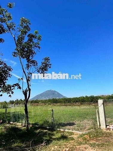 🌟Bán Đất Đẹp Vuông Vức Mặt Suối Lưng Tựa Núi🌟