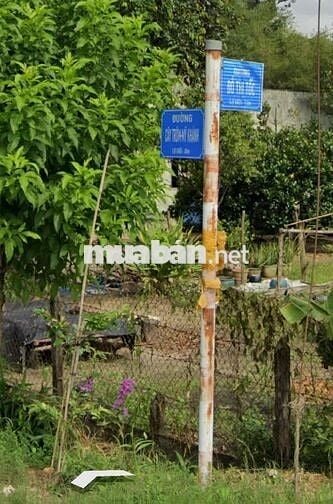 ĐẤT FULL THỔ CƯ 175m2 XÂY DỰNG TỰ DO -NGÂN HÀNG HỘ TRỢ