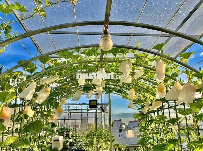 Bán nhà biệt thự căn góc 2 mặt tiền