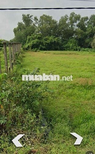 ĐẤT FULL THỔ CƯ 175m2 XÂY DỰNG TỰ DO -NGÂN HÀNG HỘ TRỢ
