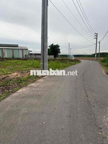 Đất chính chủ kẹt tiền bán gấp